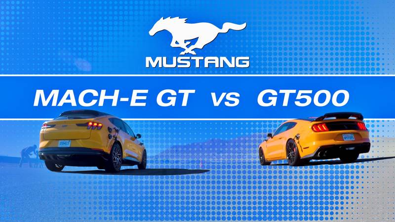 The Ultimate Mustang Showdown: Mustang Mach-E GT Performance Takes On The Shelby Mustang GT500 
